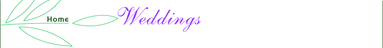 Wedding Services